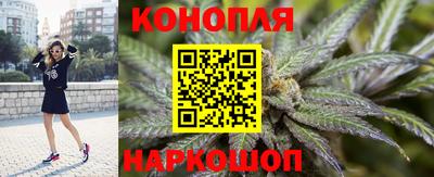 apvp Пугачёв