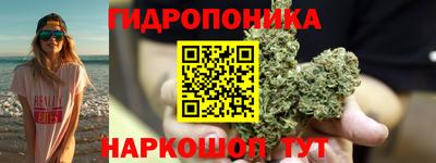 apvp Пугачёв