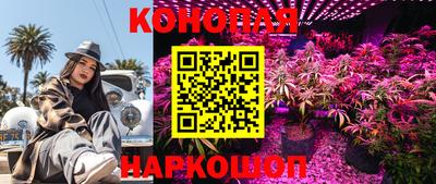 apvp Пугачёв