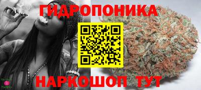 apvp Пугачёв