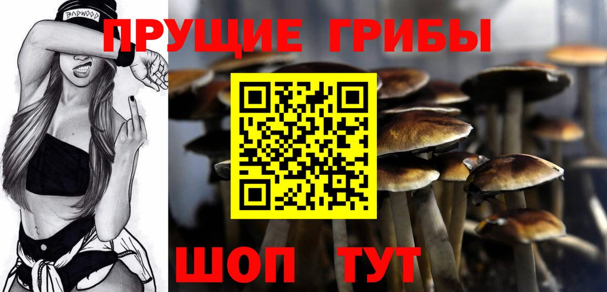 Ртищево  Галлюциногенные грибы прущие грибы  закладка  Вход с VPN 